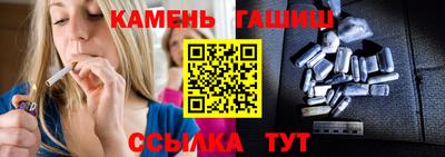 гашик Дубна