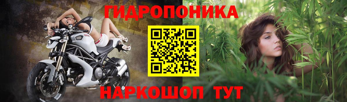 Мариинск  Бошки Шишки Amnesia  Вход с VPN  Марихуана план  МАРИХУАНА тримм 
